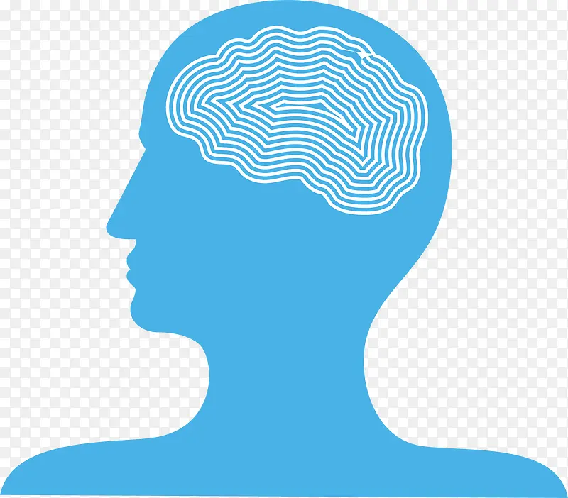 蓝色的人体大脑图像