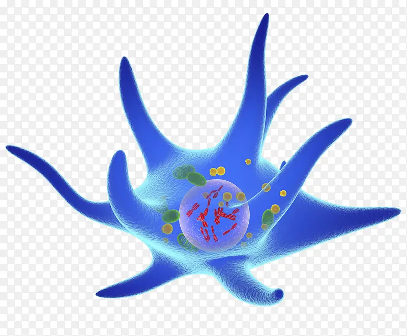 蓝色细胞立体插画
