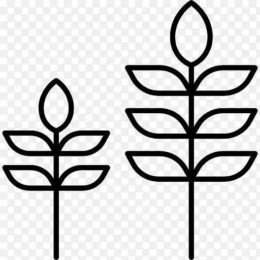 两种植物图标