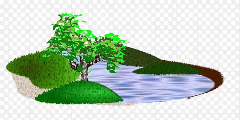 湖泊中的绿色小树