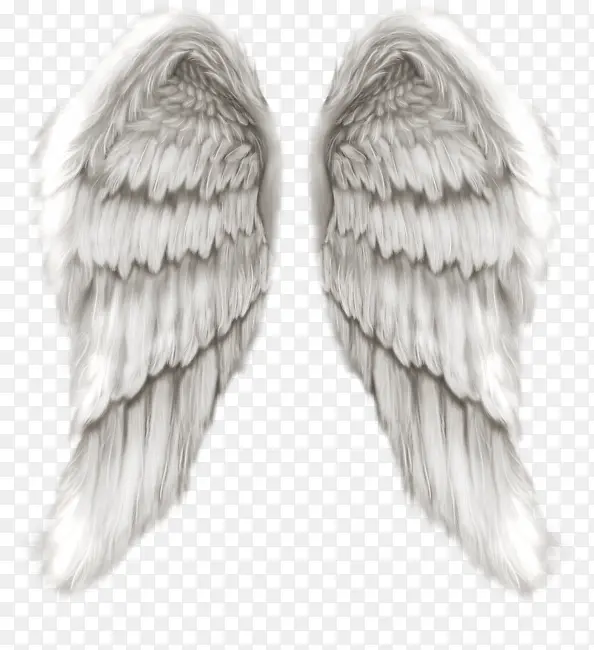 白色天使翅膀图标