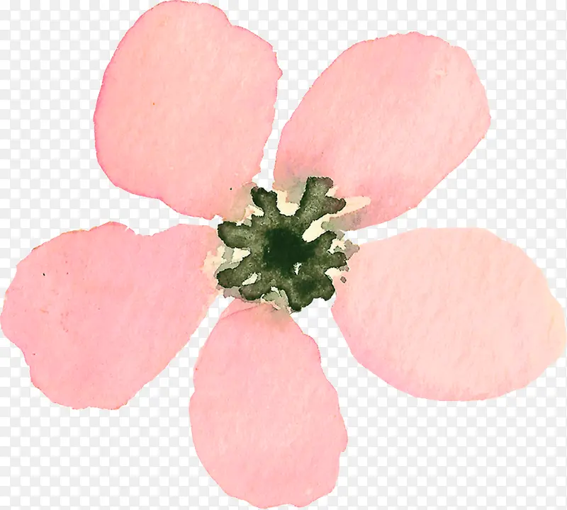 粉色花瓣花朵