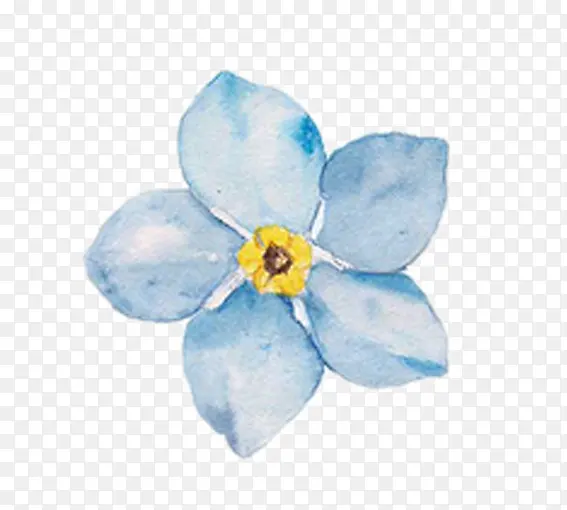 蓝色的鲜花