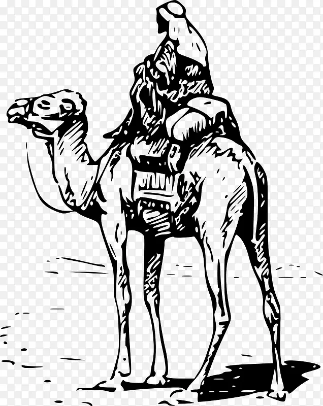 骑行骆驼
