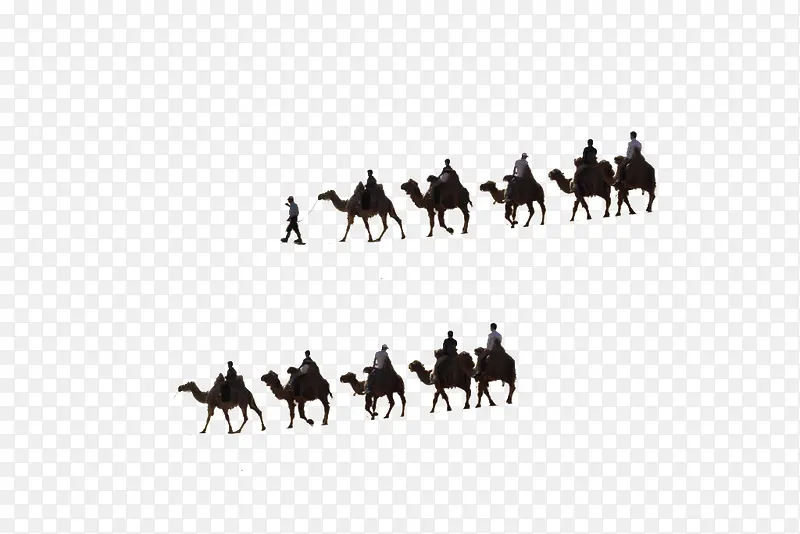 骑骆驼的队伍