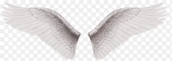 白色维密翅膀