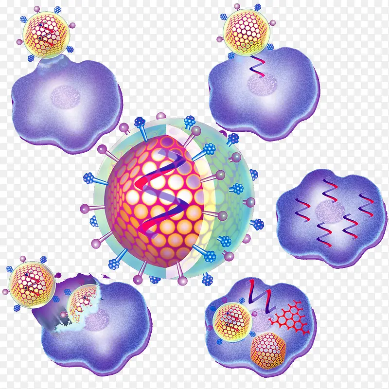 细胞分子生物示意图