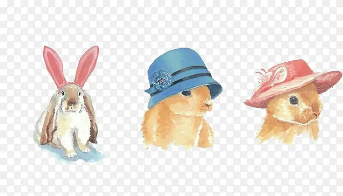 兔子头上的帽子