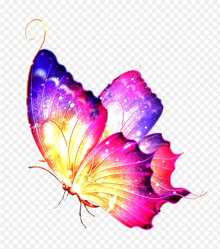 彩色动物蝴蝶