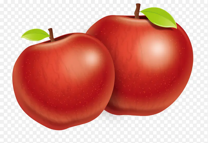 矢量两苹果