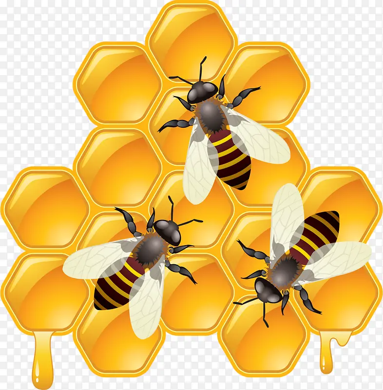 采蜜的小蜜蜂