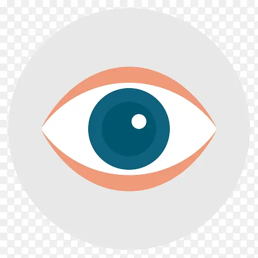 眼眼球看搜索间谍平面设计图标（