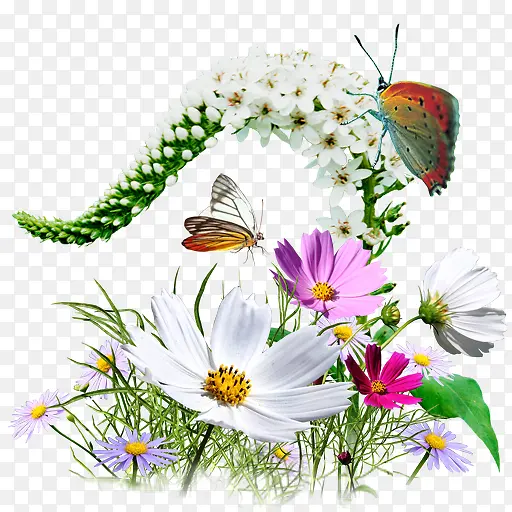 Flowers Wildflowers Icon