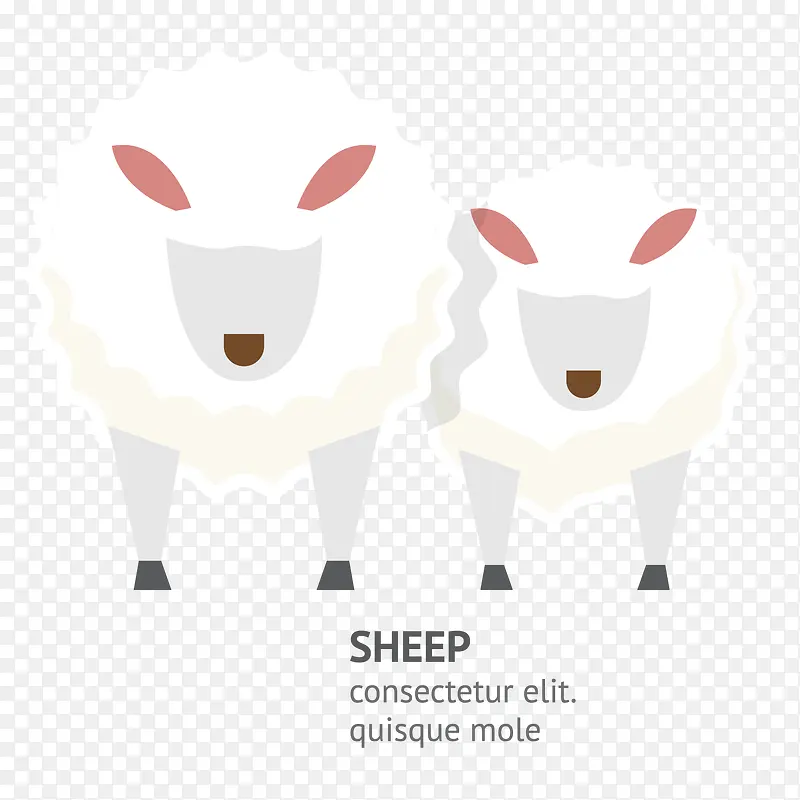 新西兰棉羊