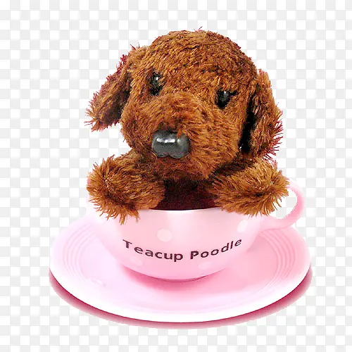 茶杯犬模型