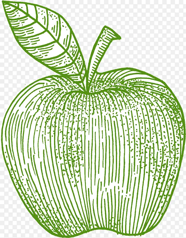 矢量绿色线条苹果