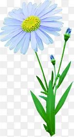 春季文艺蓝色花朵花苞