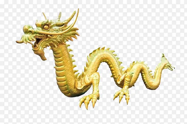 实物金龙