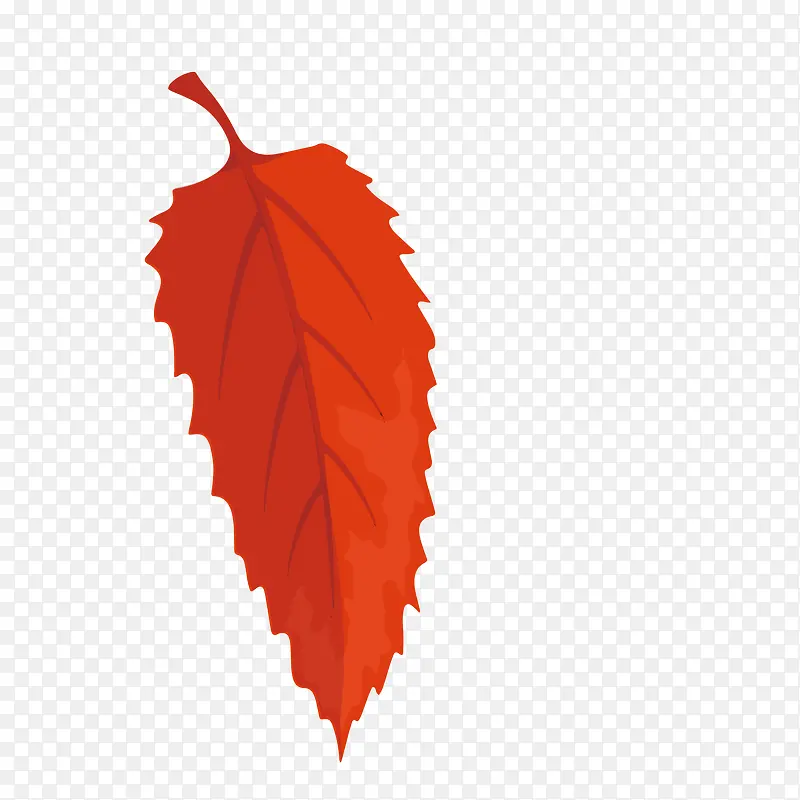 红色长条树叶装饰