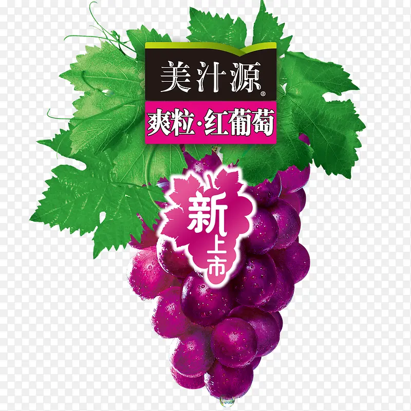 美汁源葡萄logo