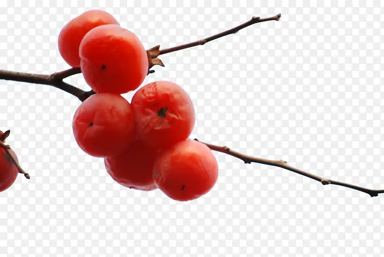 多个红柿子