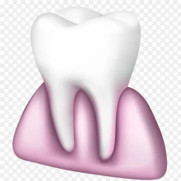 牙齿与牙龈