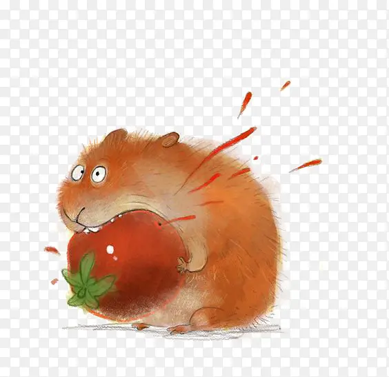 小老鼠