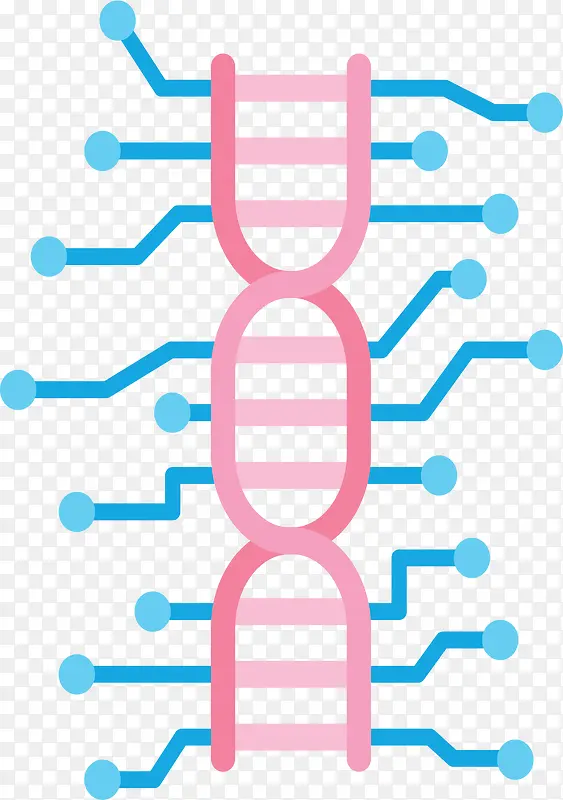 蓝粉色网络生物结构