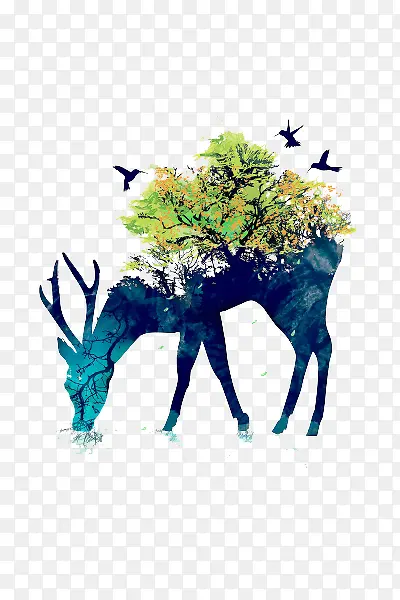 动物与植物