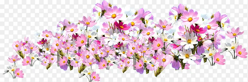 一簇粉白色鲜花PNG图片素材下载_图片编号ykwwkmoy-免抠素材网