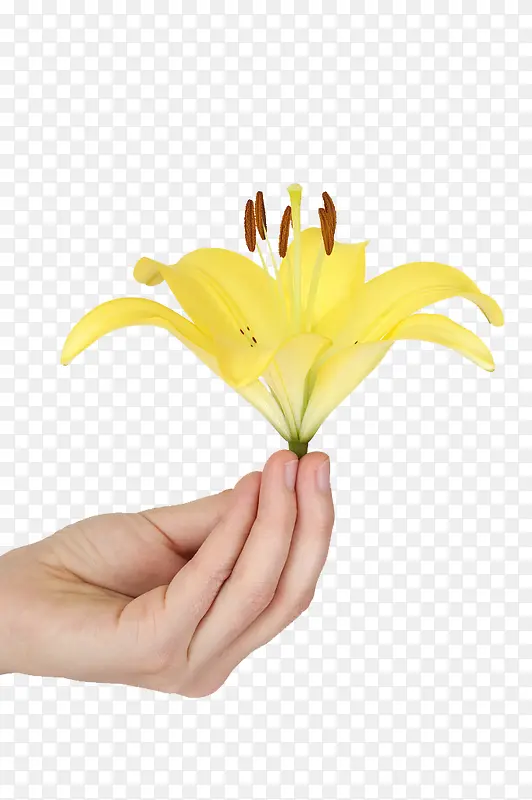 创意百合花摆件