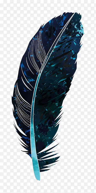 深蓝色的羽毛