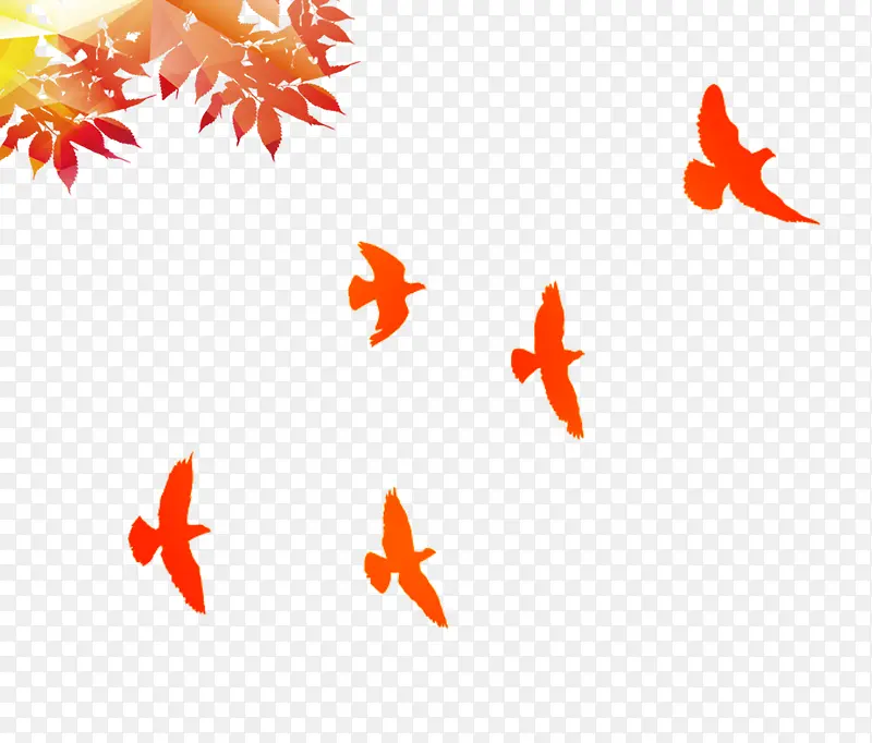 树叶和鸟