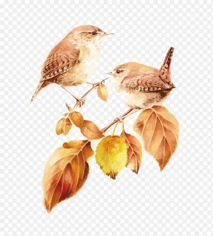 矢量树叶和鸟