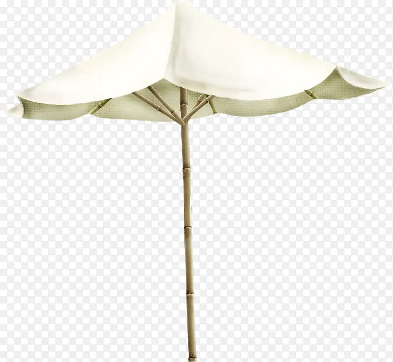 中国风白伞