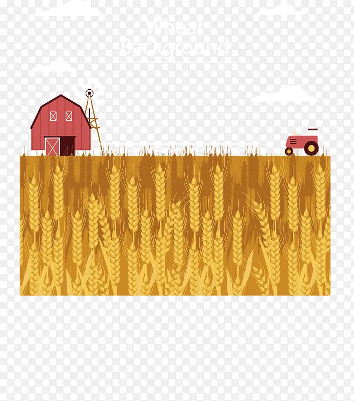 农场里金黄色小麦