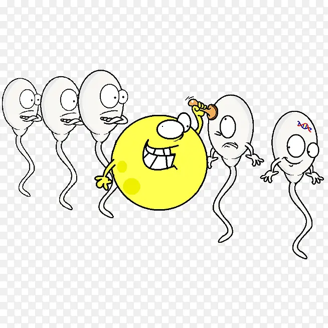 卡通卵子给精子盖章
