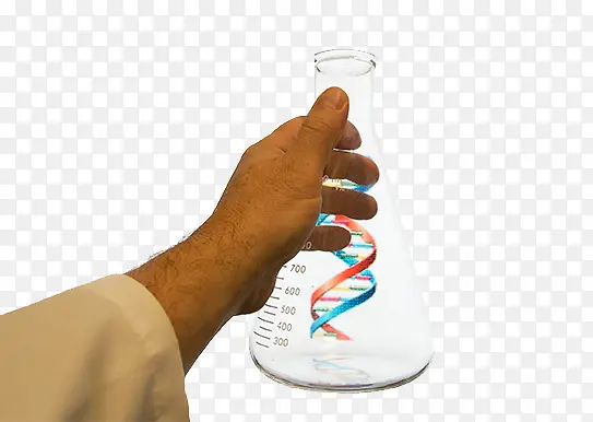 DNA检测