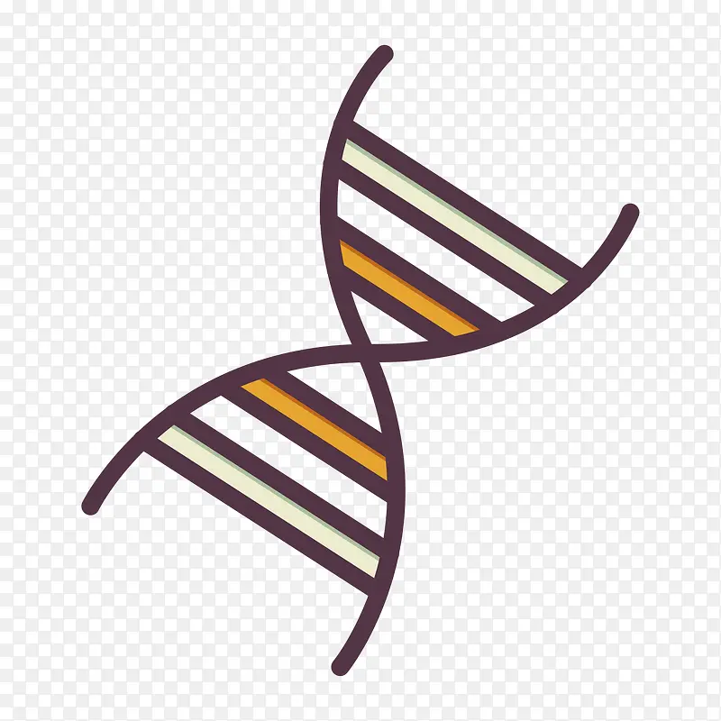 灰色圆弧DNA基因元素