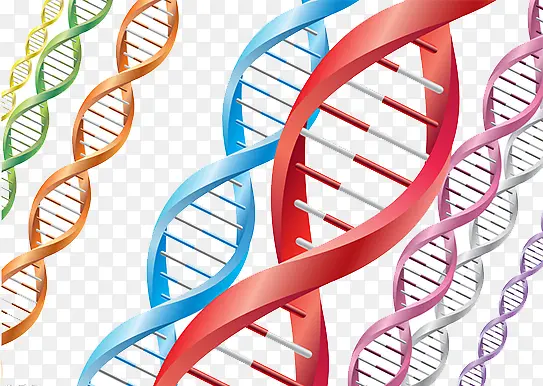 生物DNA图片