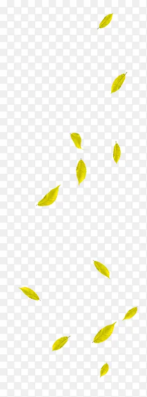 黄绿色清新树叶漂浮素材