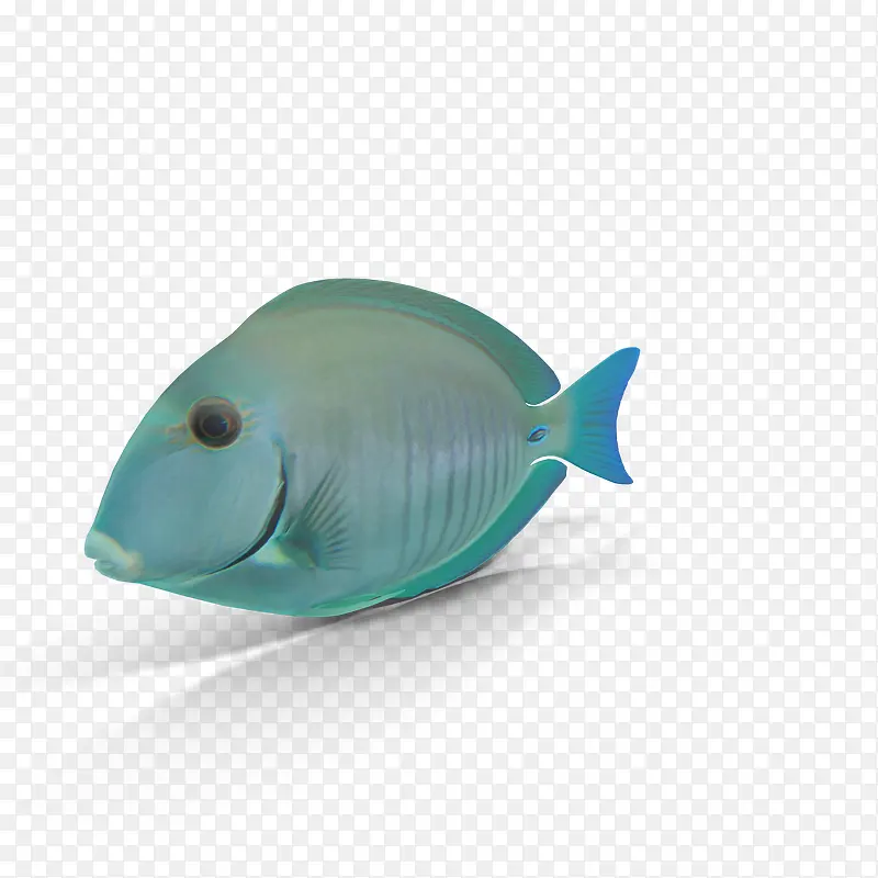 海底世界之蓝色小鱼