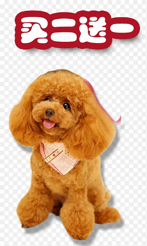 宠物元素