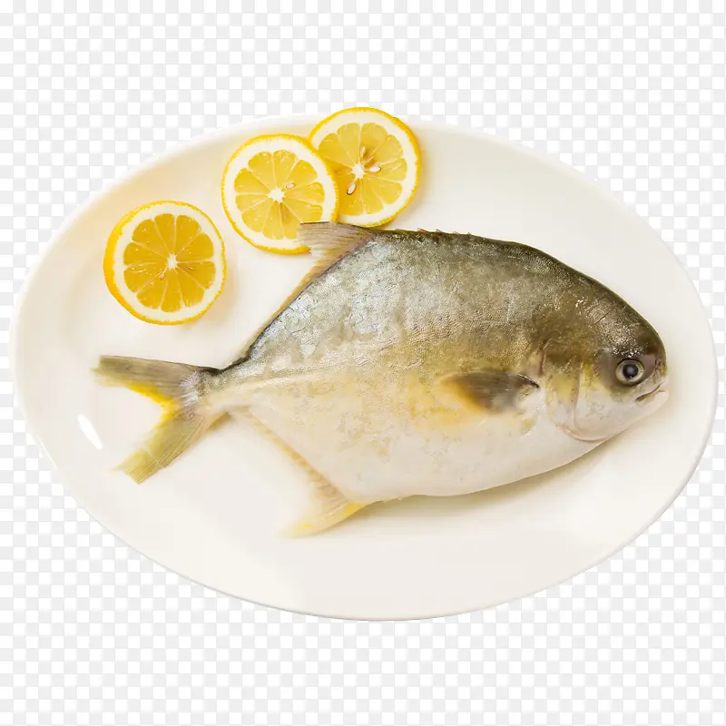 海鲜鲜活金鲳鱼