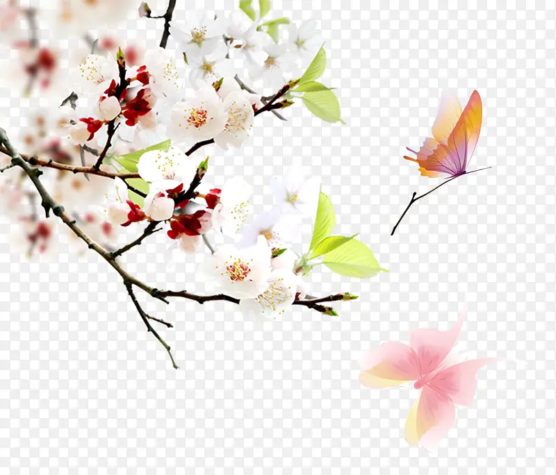 春天桃花盛开新芽装饰背景