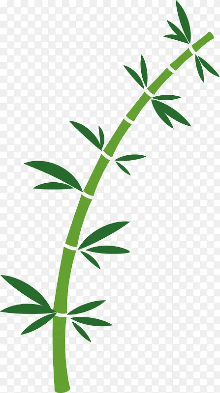 卡通手绘绿色的竹子