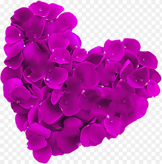 紫色水珠花瓣爱心