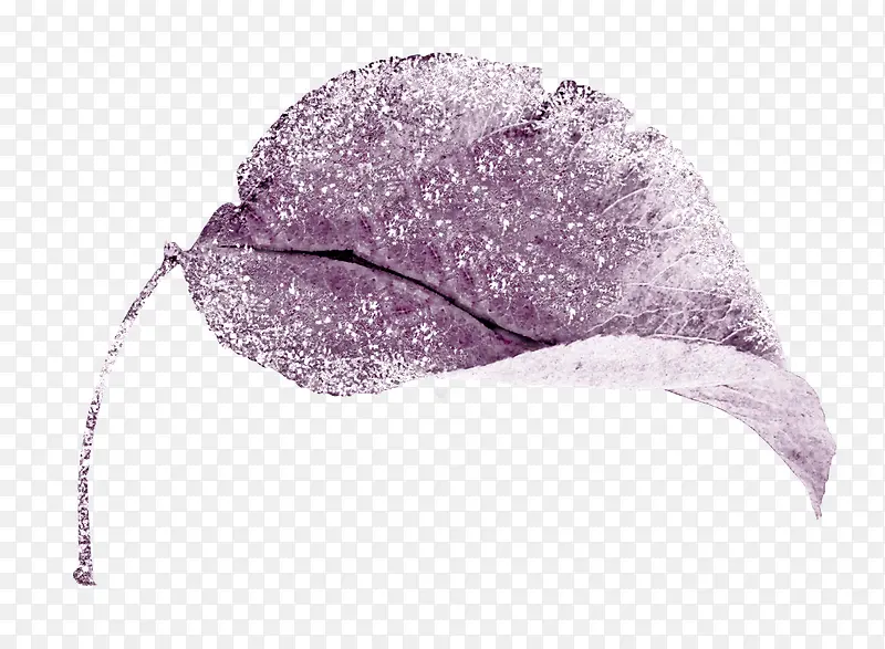 白雪紫色树叶