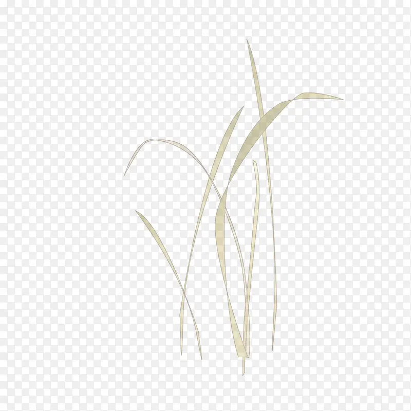 矢量灰色手绘兰