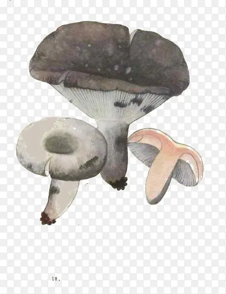 三个小蘑菇